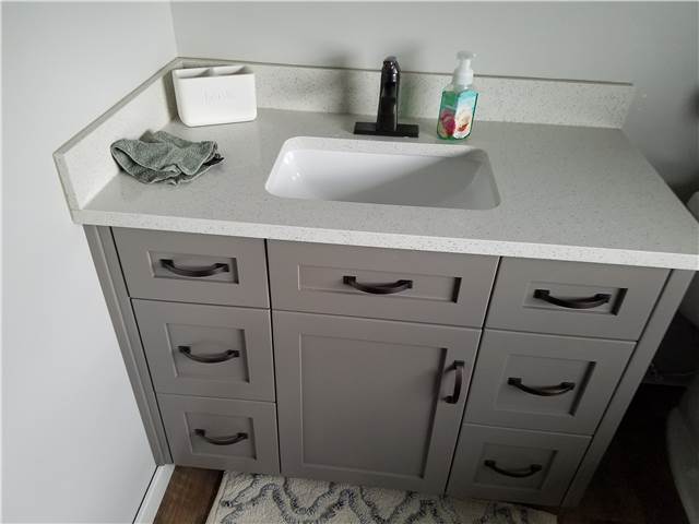 Painted cabinet with flat panel doors and drawer fronts - full overlay style - Quartz countertop