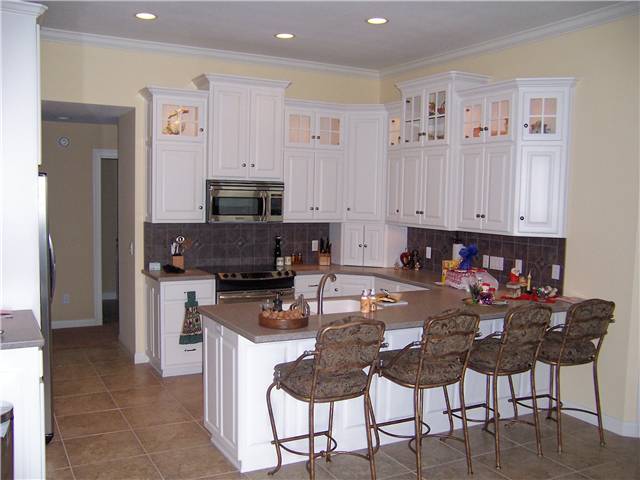 Painted cabinets - raised panel doors and side panels - Standard overlay style - Solid surface countertops